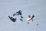 Pioneer Turntable PL-450 Cueing Bundle Used Shape. Fixed Price $25.00.