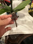 Parts Only For Vintage Webcor 153 Record Player Mt 1755-1. Fixed Price $29.99.