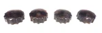 Vintage Dewald A505 Tabletop Radio: Set Of 4 Bakelite "marbled" Push-on Knobs. Fixed Price $40.00.