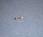 Walco 700-D7 Needle Stylus For Astatic N8-7 Ev 3009D Varco Childrens Player. Fixed Price $11.50.
