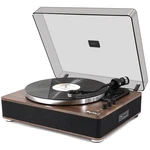 LP&NO.1 Player Model Lpsc 026 Turntable Bluetooth Usb Recording. Fixed Price $259.99.
