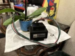 Oem Parts Only For Vintage Webcor 153 Record Player Mt 1755-1. Fixed Price $39.99.