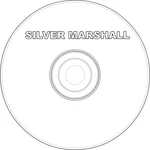 Service Manual Silver Marshall Audio By Model On 1 Cd In Pdf Format. Fixed Price $19.00.