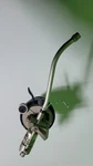 Technics Tonearm EPA-250. Fixed Price $980.00.