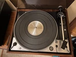 Dual 1229 Turntable With Denon DL-103D Cartridge Lubed And Ready. Fixed Price $750.00.