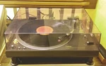 Technics SL-1350 Dd Fully Automatic Multiplay Turntable Serviced W/spindles!. Fixed Price $1150.00.