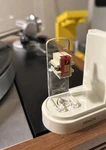 Denon DL-300 Cartridge. Fixed Price $250.00.
